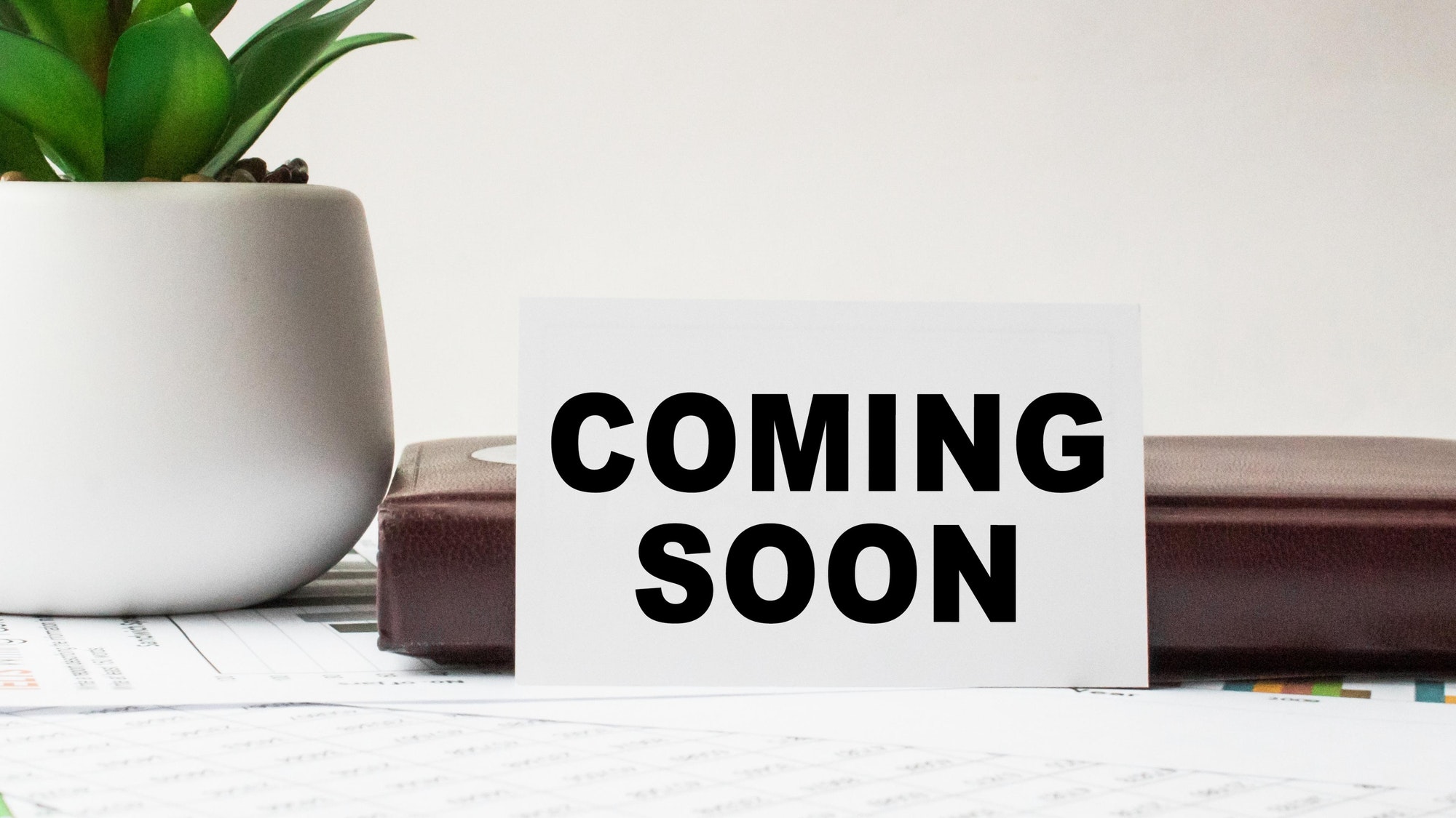 Coming soon, photo coming soon.